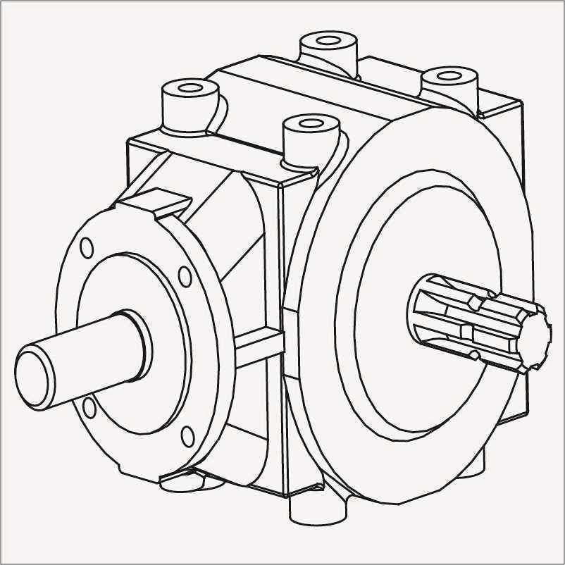 Free wheel in the group